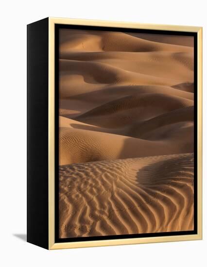 Sand Prints-Art Wolfe-Framed Premier Image Canvas