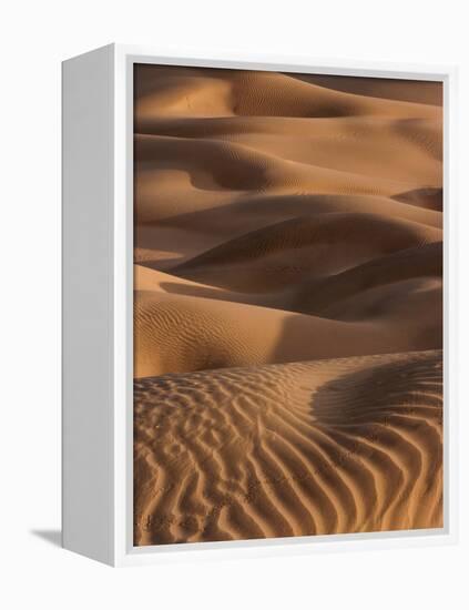 Sand Prints-Art Wolfe-Framed Premier Image Canvas