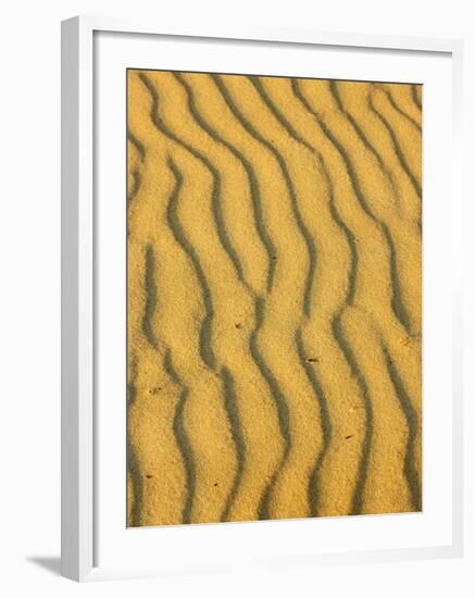 Sand Ripples, Queensland, Australia-David Wall-Framed Photographic Print