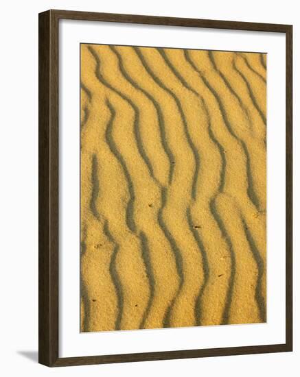 Sand Ripples, Queensland, Australia-David Wall-Framed Photographic Print