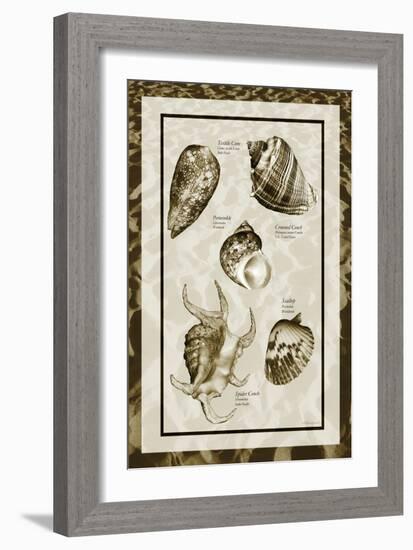 Sand & Shells I-Alan Hausenflock-Framed Photographic Print