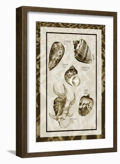 Sand & Shells I-Alan Hausenflock-Framed Photographic Print