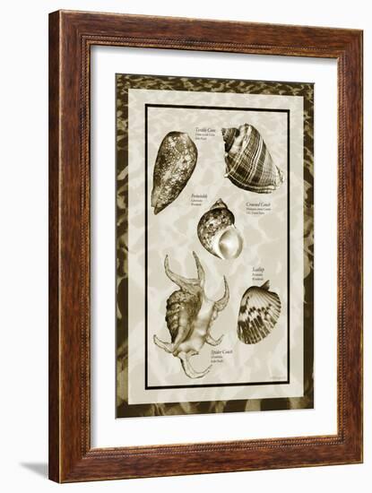 Sand & Shells I-Alan Hausenflock-Framed Photographic Print