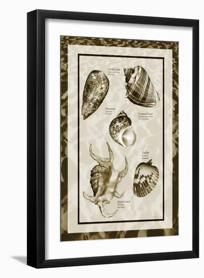 Sand & Shells I-Alan Hausenflock-Framed Photographic Print