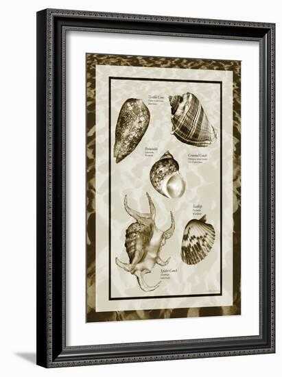 Sand & Shells I-Alan Hausenflock-Framed Photographic Print