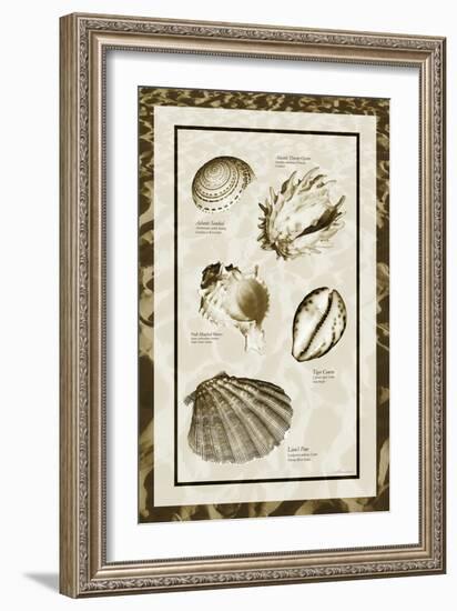 Sand & Shells II-Alan Hausenflock-Framed Photographic Print