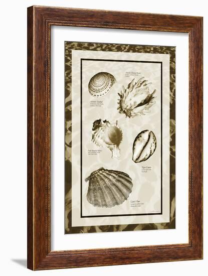 Sand & Shells II-Alan Hausenflock-Framed Photographic Print