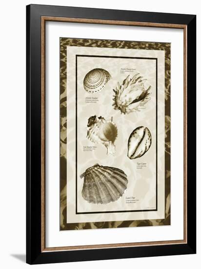 Sand & Shells II-Alan Hausenflock-Framed Photographic Print