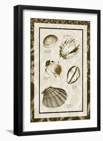 Sand & Shells II-Alan Hausenflock-Framed Photographic Print