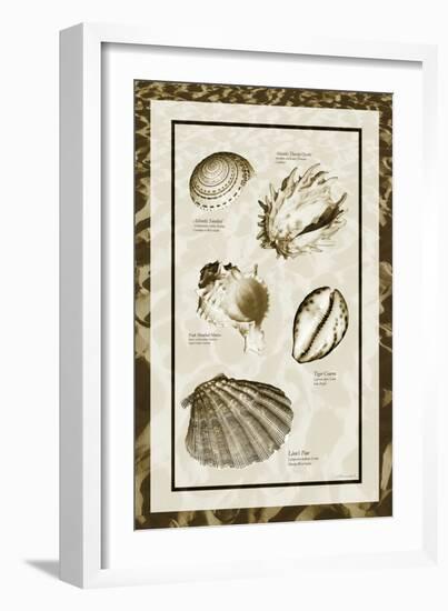 Sand & Shells II-Alan Hausenflock-Framed Photographic Print