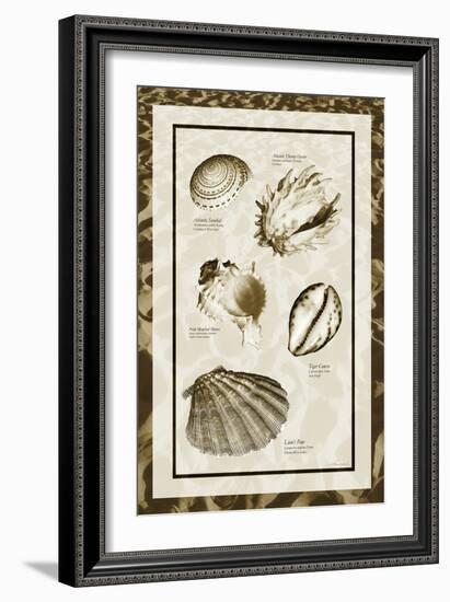 Sand & Shells II-Alan Hausenflock-Framed Photographic Print