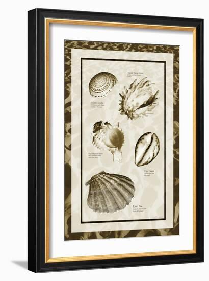 Sand & Shells II-Alan Hausenflock-Framed Photographic Print