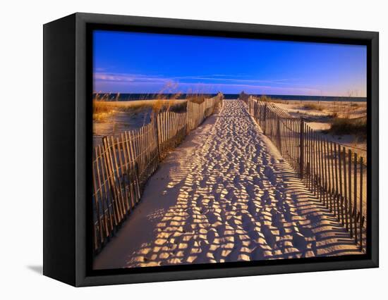 Sand Trail on Santa Rosa Island-Joseph Sohm-Framed Premier Image Canvas
