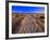 Sand Trail on Santa Rosa Island-Joseph Sohm-Framed Photographic Print