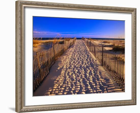 Sand Trail on Santa Rosa Island-Joseph Sohm-Framed Photographic Print