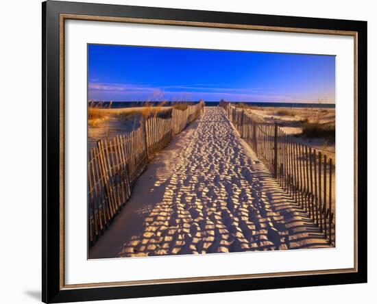 Sand Trail on Santa Rosa Island-Joseph Sohm-Framed Photographic Print