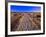 Sand Trail on Santa Rosa Island-Joseph Sohm-Framed Photographic Print