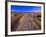 Sand Trail on Santa Rosa Island-Joseph Sohm-Framed Photographic Print