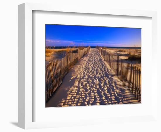 Sand Trail on Santa Rosa Island-Joseph Sohm-Framed Photographic Print