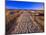 Sand Trail on Santa Rosa Island-Joseph Sohm-Mounted Photographic Print