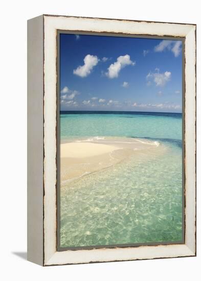 Sandbar, Goff Caye, Belize-Cindy Miller Hopkins-Framed Premier Image Canvas