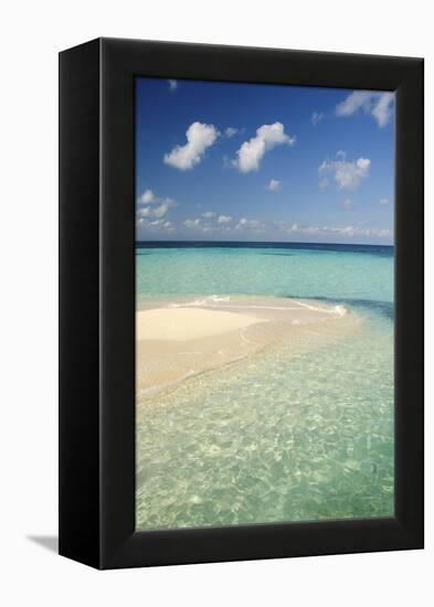Sandbar, Goff Caye, Belize-Cindy Miller Hopkins-Framed Premier Image Canvas