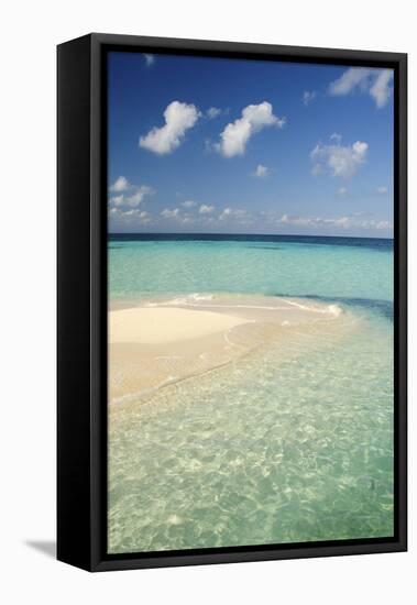 Sandbar, Goff Caye, Belize-Cindy Miller Hopkins-Framed Premier Image Canvas