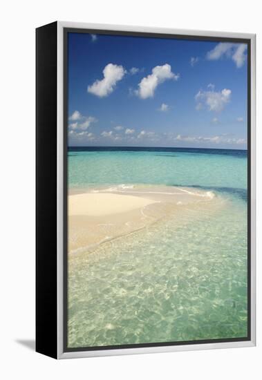 Sandbar, Goff Caye, Belize-Cindy Miller Hopkins-Framed Premier Image Canvas