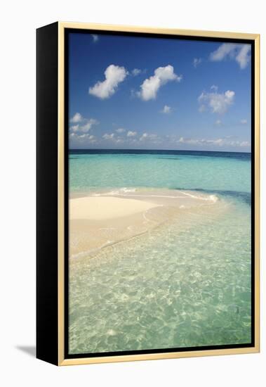 Sandbar, Goff Caye, Belize-Cindy Miller Hopkins-Framed Premier Image Canvas