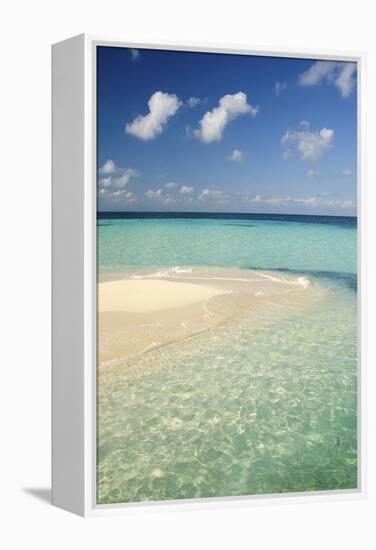 Sandbar, Goff Caye, Belize-Cindy Miller Hopkins-Framed Premier Image Canvas