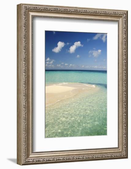 Sandbar, Goff Caye, Belize-Cindy Miller Hopkins-Framed Photographic Print