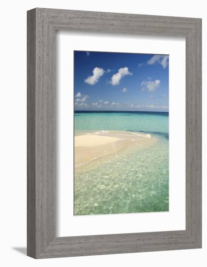 Sandbar, Goff Caye, Belize-Cindy Miller Hopkins-Framed Photographic Print