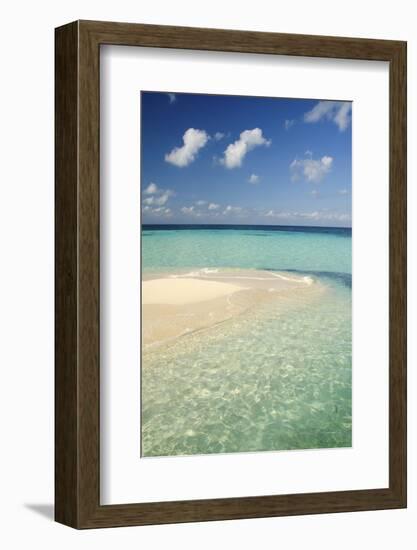 Sandbar, Goff Caye, Belize-Cindy Miller Hopkins-Framed Photographic Print