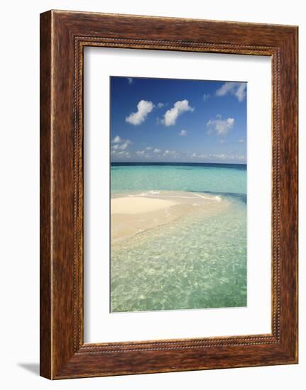 Sandbar, Goff Caye, Belize-Cindy Miller Hopkins-Framed Photographic Print