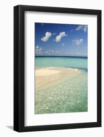 Sandbar, Goff Caye, Belize-Cindy Miller Hopkins-Framed Photographic Print