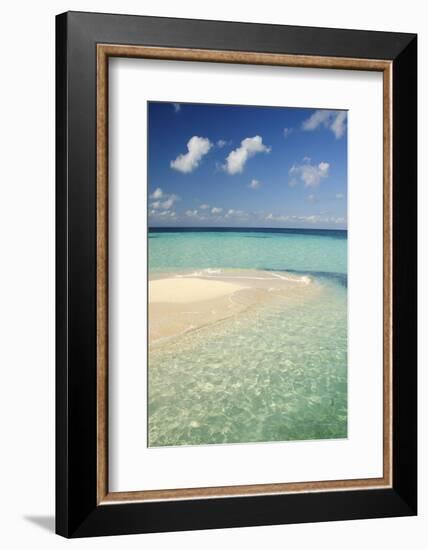 Sandbar, Goff Caye, Belize-Cindy Miller Hopkins-Framed Photographic Print