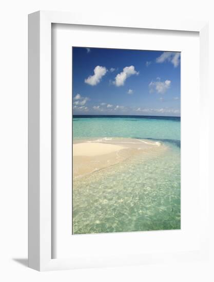 Sandbar, Goff Caye, Belize-Cindy Miller Hopkins-Framed Photographic Print