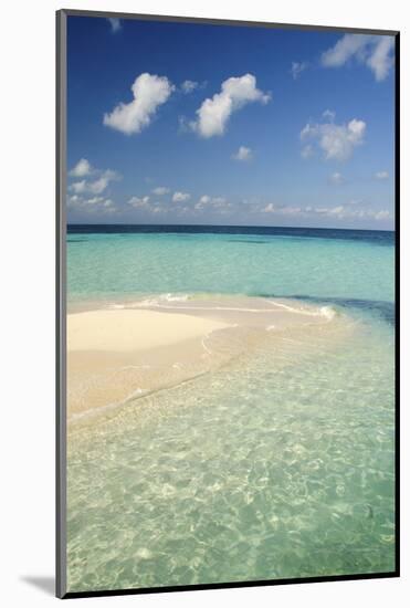 Sandbar, Goff Caye, Belize-Cindy Miller Hopkins-Mounted Photographic Print