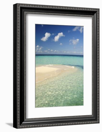 Sandbar, Goff Caye, Belize-Cindy Miller Hopkins-Framed Photographic Print