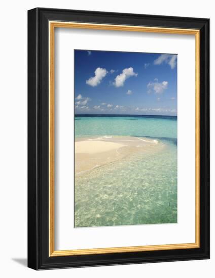 Sandbar, Goff Caye, Belize-Cindy Miller Hopkins-Framed Photographic Print