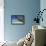 Sandbar Pelican Cay-Larry Malvin-Framed Premier Image Canvas displayed on a wall