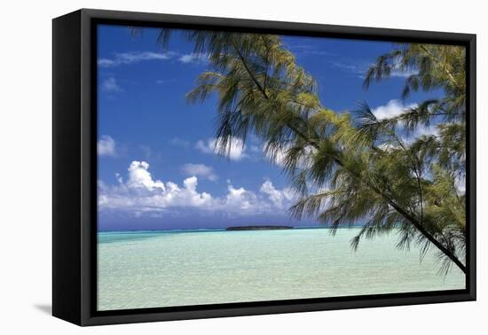 Sandbar Pelican Cay-Larry Malvin-Framed Premier Image Canvas