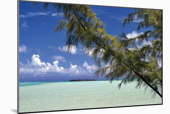 Sandbar Pelican Cay-Larry Malvin-Mounted Photographic Print