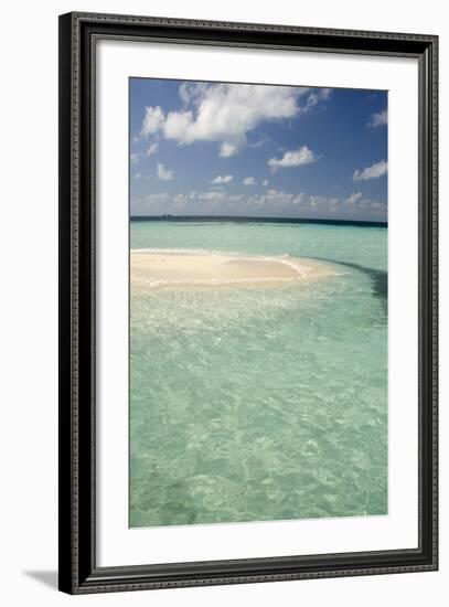 Sandbar Surrounded by Crystal Water, Goff Caye, Caribbean Sea, Belize-Cindy Miller Hopkins-Framed Photographic Print