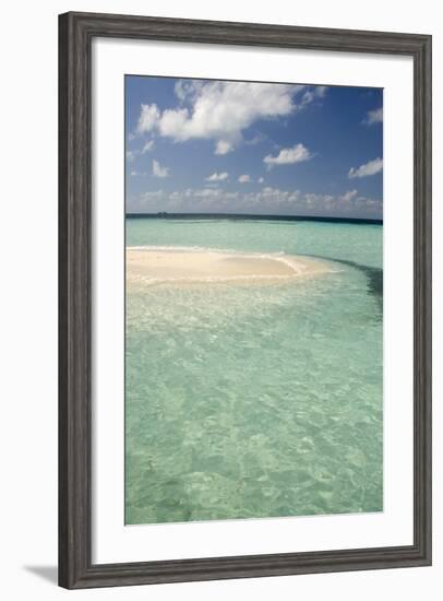 Sandbar Surrounded by Crystal Water, Goff Caye, Caribbean Sea, Belize-Cindy Miller Hopkins-Framed Photographic Print