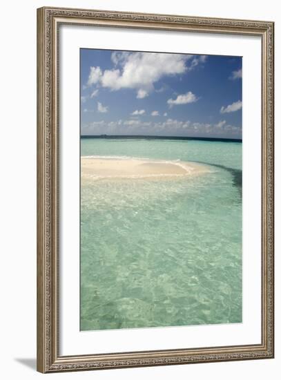 Sandbar Surrounded by Crystal Water, Goff Caye, Caribbean Sea, Belize-Cindy Miller Hopkins-Framed Photographic Print