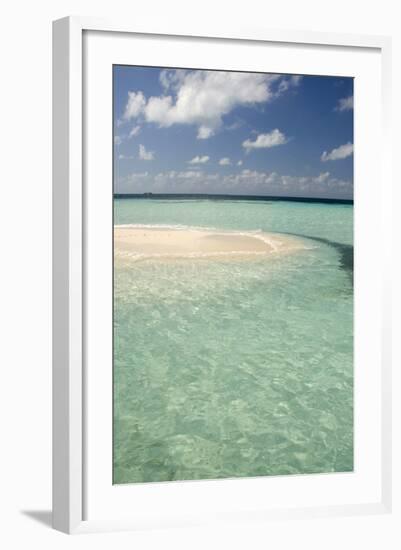 Sandbar Surrounded by Crystal Water, Goff Caye, Caribbean Sea, Belize-Cindy Miller Hopkins-Framed Photographic Print