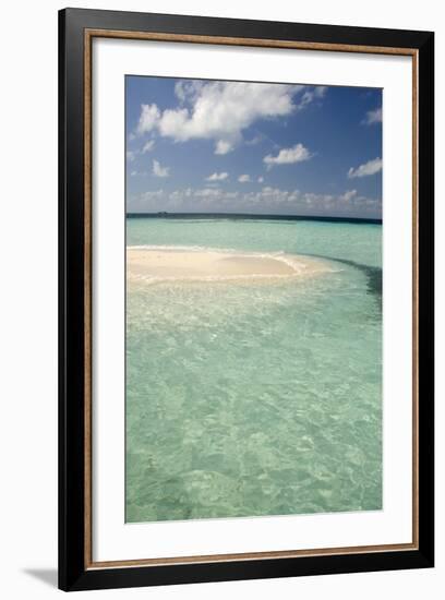 Sandbar Surrounded by Crystal Water, Goff Caye, Caribbean Sea, Belize-Cindy Miller Hopkins-Framed Photographic Print