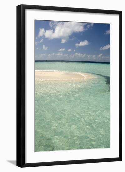 Sandbar Surrounded by Crystal Water, Goff Caye, Caribbean Sea, Belize-Cindy Miller Hopkins-Framed Photographic Print