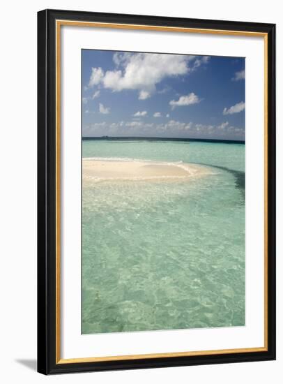 Sandbar Surrounded by Crystal Water, Goff Caye, Caribbean Sea, Belize-Cindy Miller Hopkins-Framed Photographic Print